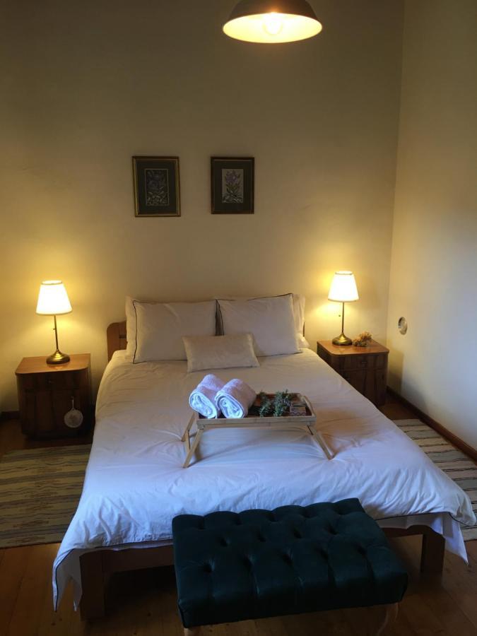 Holiday House Green Dream Obrovac Zewnętrze zdjęcie