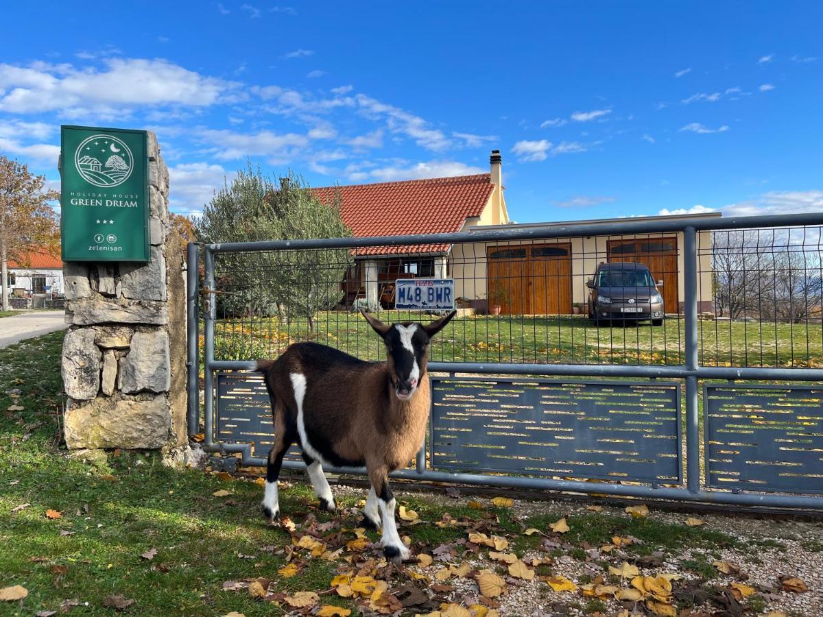 Holiday House Green Dream Obrovac Zewnętrze zdjęcie