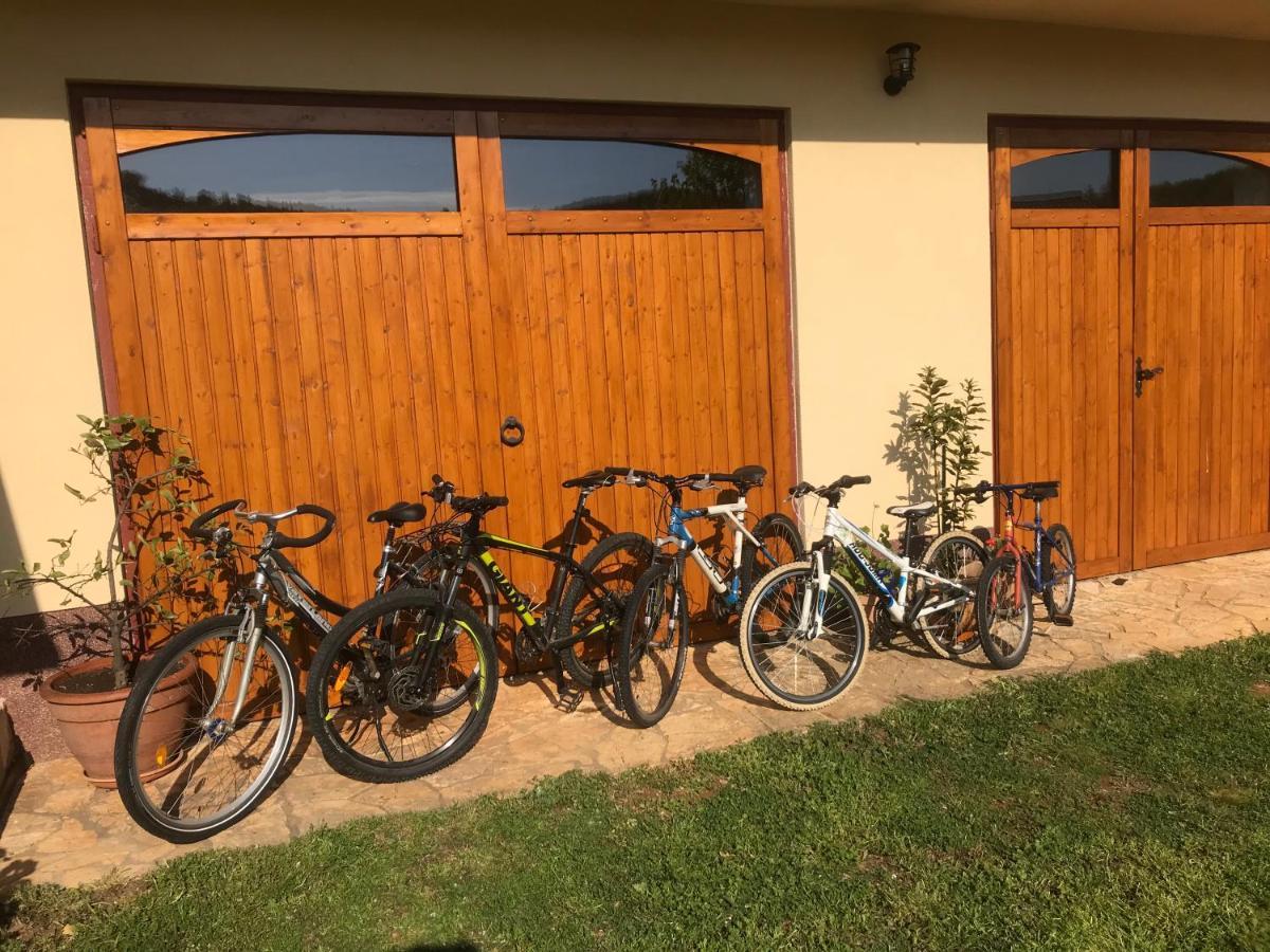 Holiday House Green Dream Obrovac Zewnętrze zdjęcie